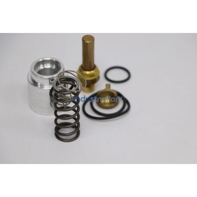 COMBINATION VALVE REPAIR KIT 400705.0