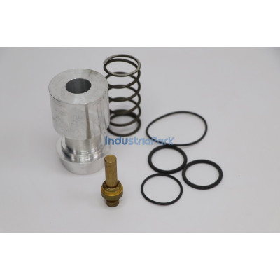 COMBINATION VALVE REPAIR KIT 400812.0