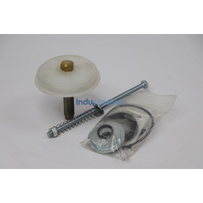 INLET VALVE MAINTENANCE KIT 400702.0