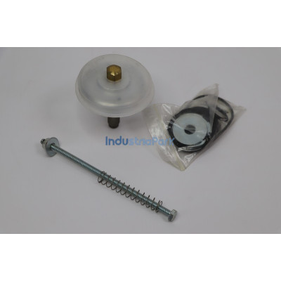 INLET VALVE MAINTENANCE KIT 400787.0