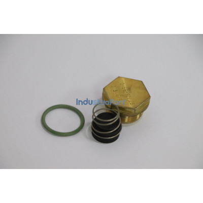 ANGLE CHECK VALVE REPAIR KIT 402040.0