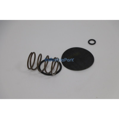 PROPORTIONAL VALVE MAINTENANCE KIT 401807.0