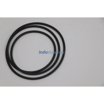 O-Ring 5.1505.0