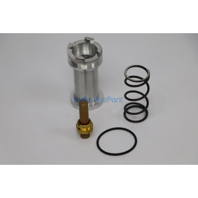 COMBINATION VALVE REPAIR KIT 402601.0