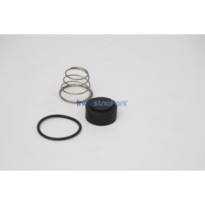 ANGLE CHECK VALVE REPAIR KIT 402042.0