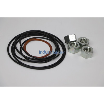CYLINDER GASKET KIT 403911.0