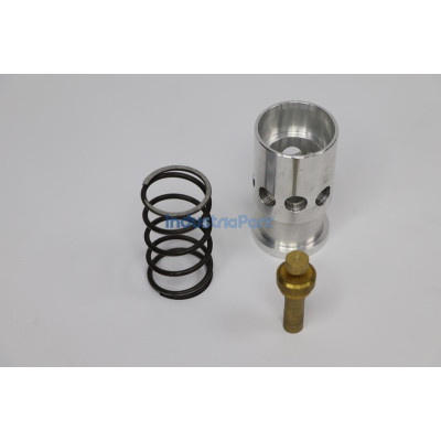 COMBINATION VALVE REPAIR KIT 402479.0