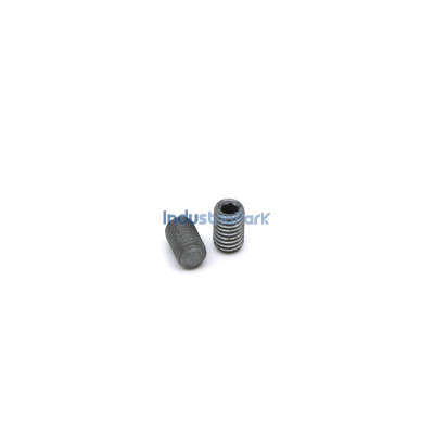 PIN THREADED DIN 913 M 6X 10-45H-GT500  10001710