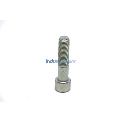 HEX SOCKET HEAD CAP SCREW M16  10001671