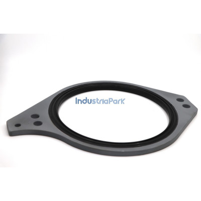 SEALING RING  10035783