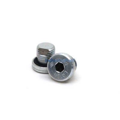 BREATHER SCREW  10105873