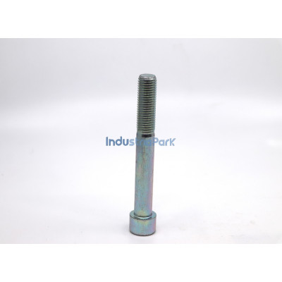 BOLT  10017437