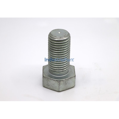 HEXAGONAL BOLT DIN 933  10018117