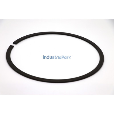 SNAP RING DIN 5419 SP225  10024833