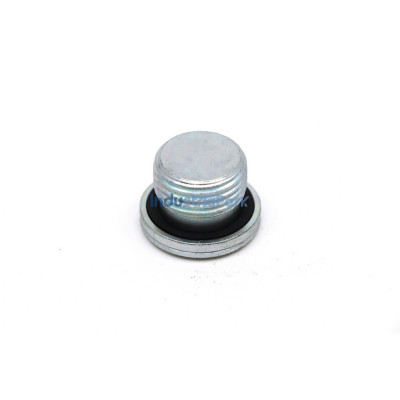 LOCKING PLUG VS-R 1/2-WD  10044494