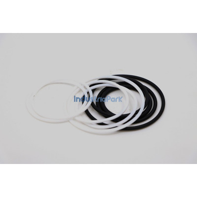 SEALING SET FOR INSERT VALVE  10173758