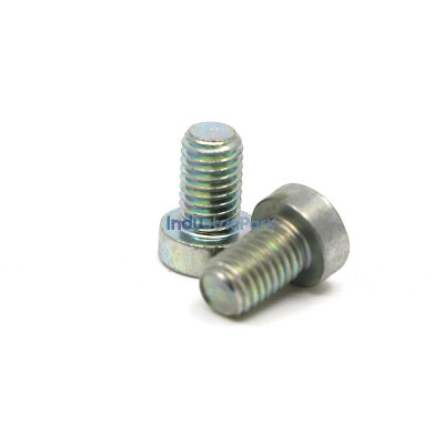 CHEESE HEAD SCREW M10X16  10011969