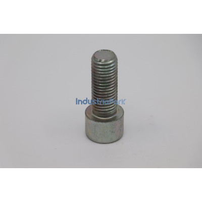 HEXAGON SOCKET HEAD CAP SCREW  10001315