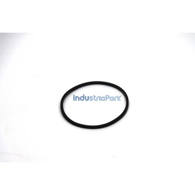 SEALING RING  10151317