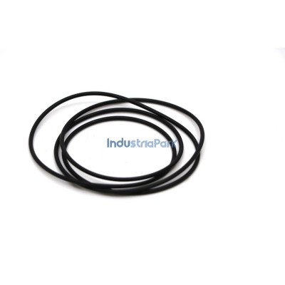 O-RING 124 X 2  10175794