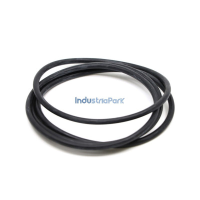 O-RING 100X5  10001113