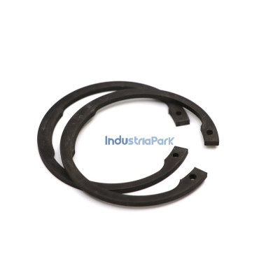 RETAINING RING  10038329