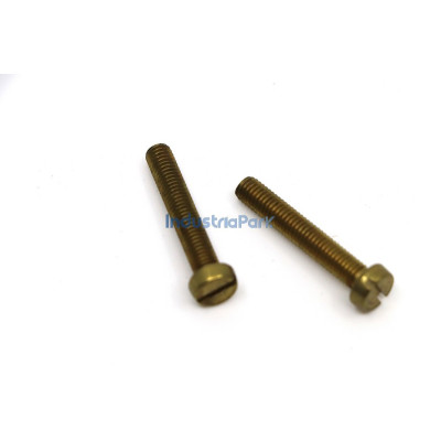 SCREW M 5 X 30  10007076