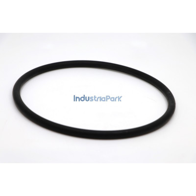 O- RING-200X10  10000602