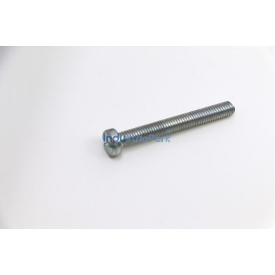 CHEESE HEAD SCREW  10018517