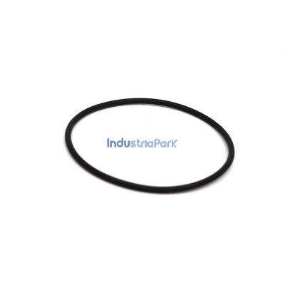 O-RING 100 X 4  10043168