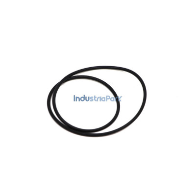 O-RING  98338881