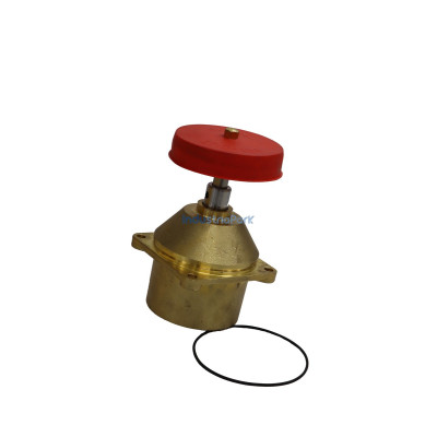 Repair kit inlet valve