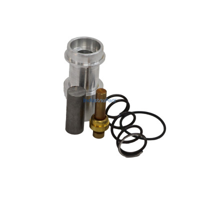 Repair kit combination valve