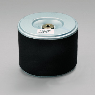 AIR FILTER, PRIMARY OBROUND P607254