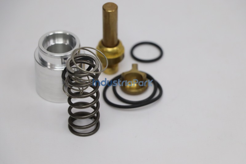 COMBINATION VALVE REPAIR KIT 400705.0