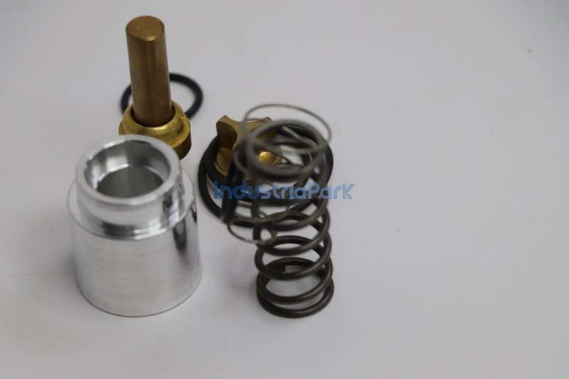 COMBINATION VALVE REPAIR KIT 400705.0
