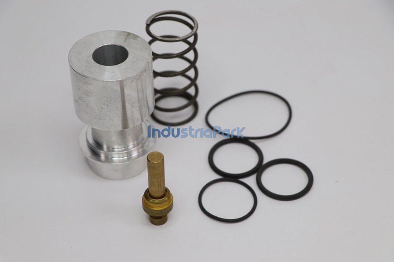 COMBINATION VALVE REPAIR KIT 400812.0