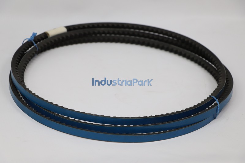 V-BELT 6.2591.0