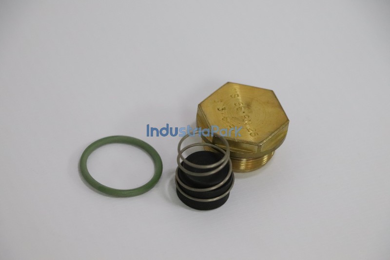ANGLE CHECK VALVE REPAIR KIT 402040.0