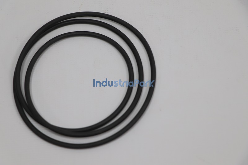 O-Ring 5.1505.0