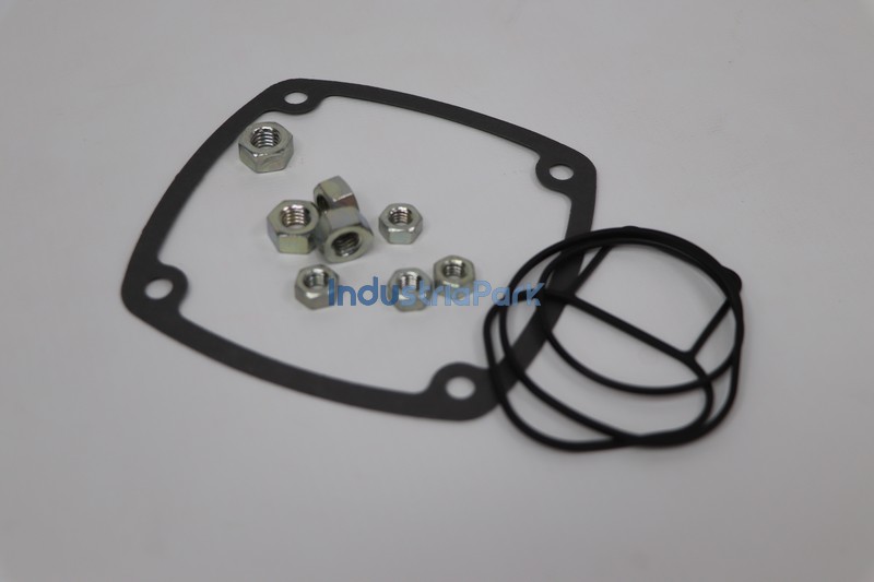 CYLINDER GASKET KIT 403231.0