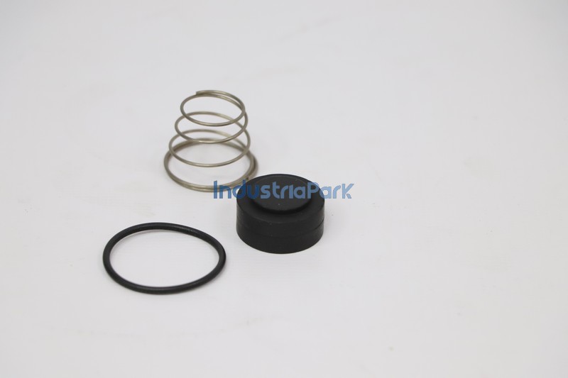 ANGLE CHECK VALVE REPAIR KIT 402042.0