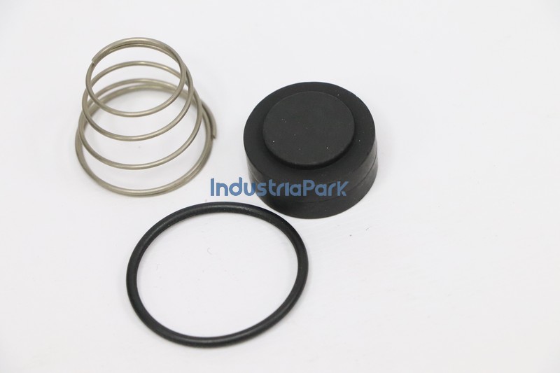 ANGLE CHECK VALVE REPAIR KIT 402042.0