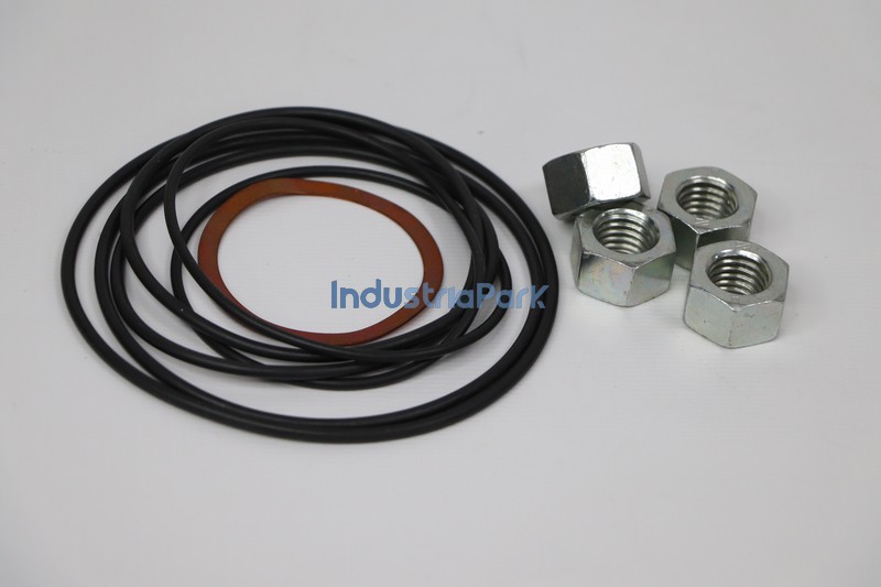 CYLINDER GASKET KIT 403911.0