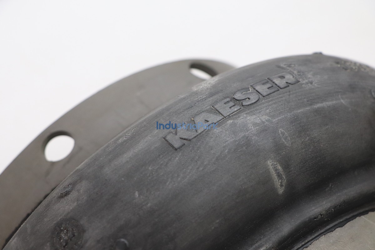 Drive coupling 5.3131E1