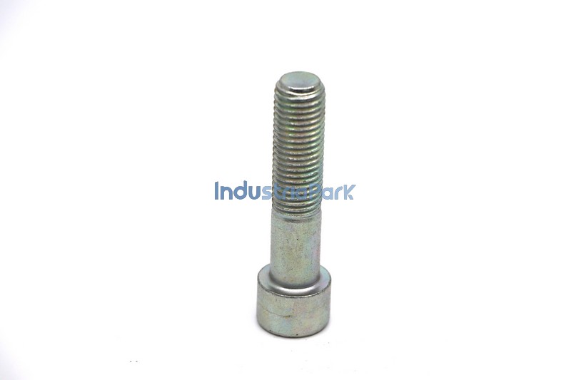 HEX SOCKET HEAD CAP SCREW M16  10001671
