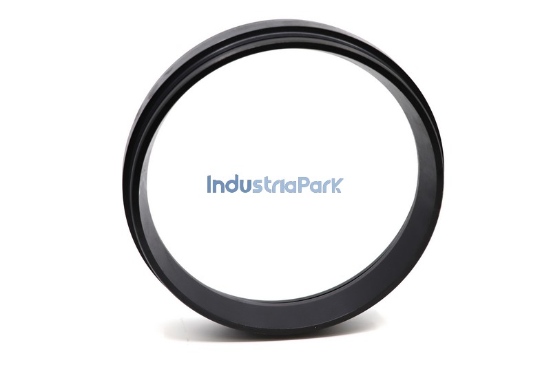 LEADING IN-RING DN 200  10002327