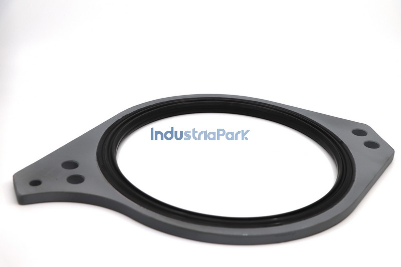 SEALING RING  10035783