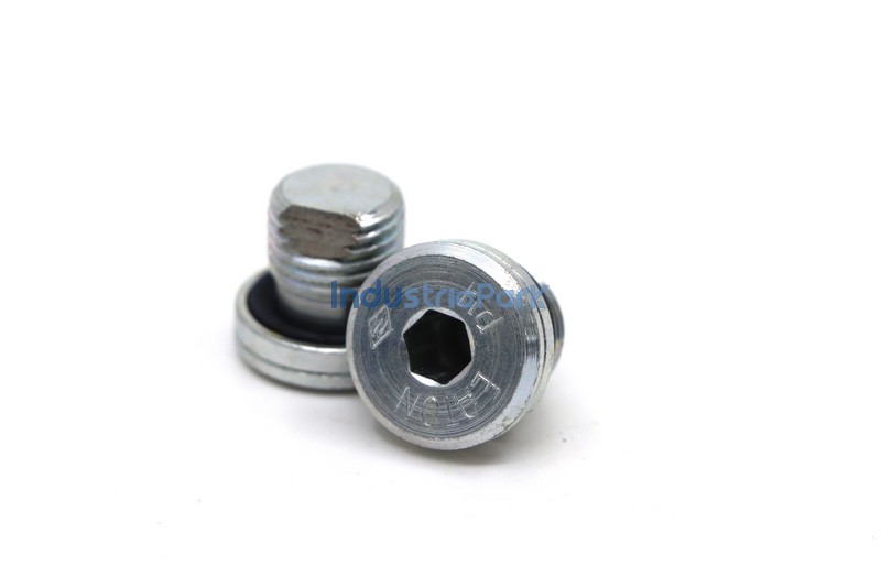 BREATHER SCREW  10105873