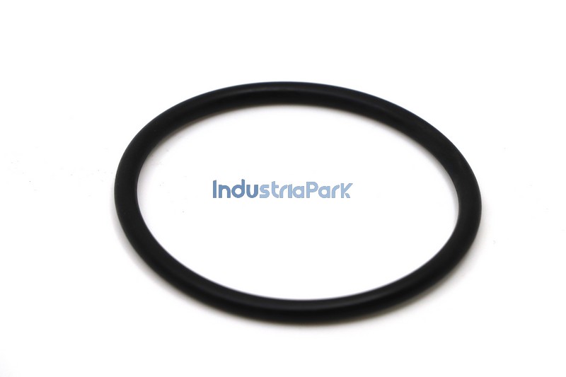 O- RING 55X4  10000732